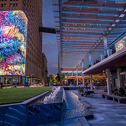 A walkway with a building and a large tree with lights.